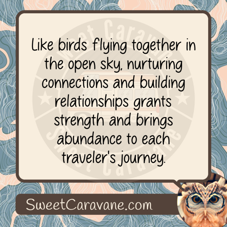 Like birds flying together in the open sky, nurturing connections and building relationships grants strength and brings abundance to each traveler's journey.